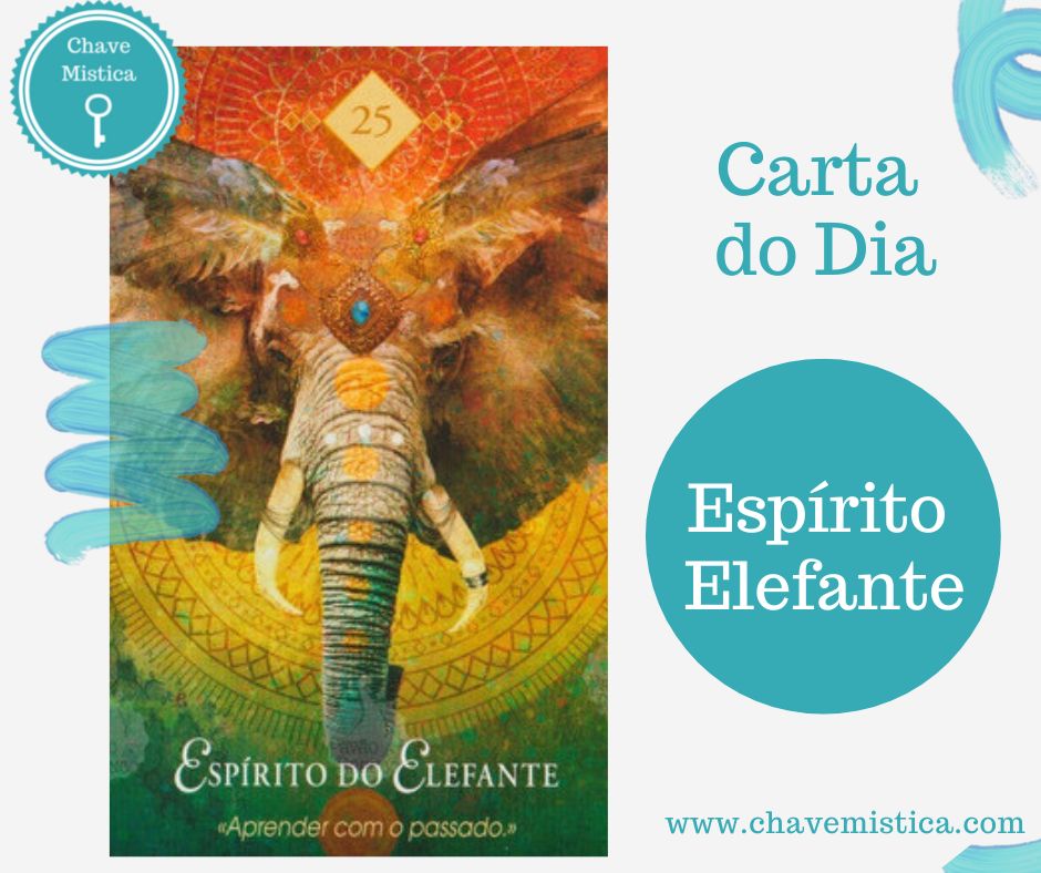 Carta Tarot para 16-12-2022 O passado é sempre importante nas nossas vidas, pois é lá que encontramos as respostas para os futuros obstáculos que vão surgindo ao longo do caminho. O passado é uma escola, que nos permite aprender com os erros que ja vivemos nele. Taróloga Camila www.chavemistica.com #tarot #cartadodia #chavemistica #passado #erros #aprendizagem