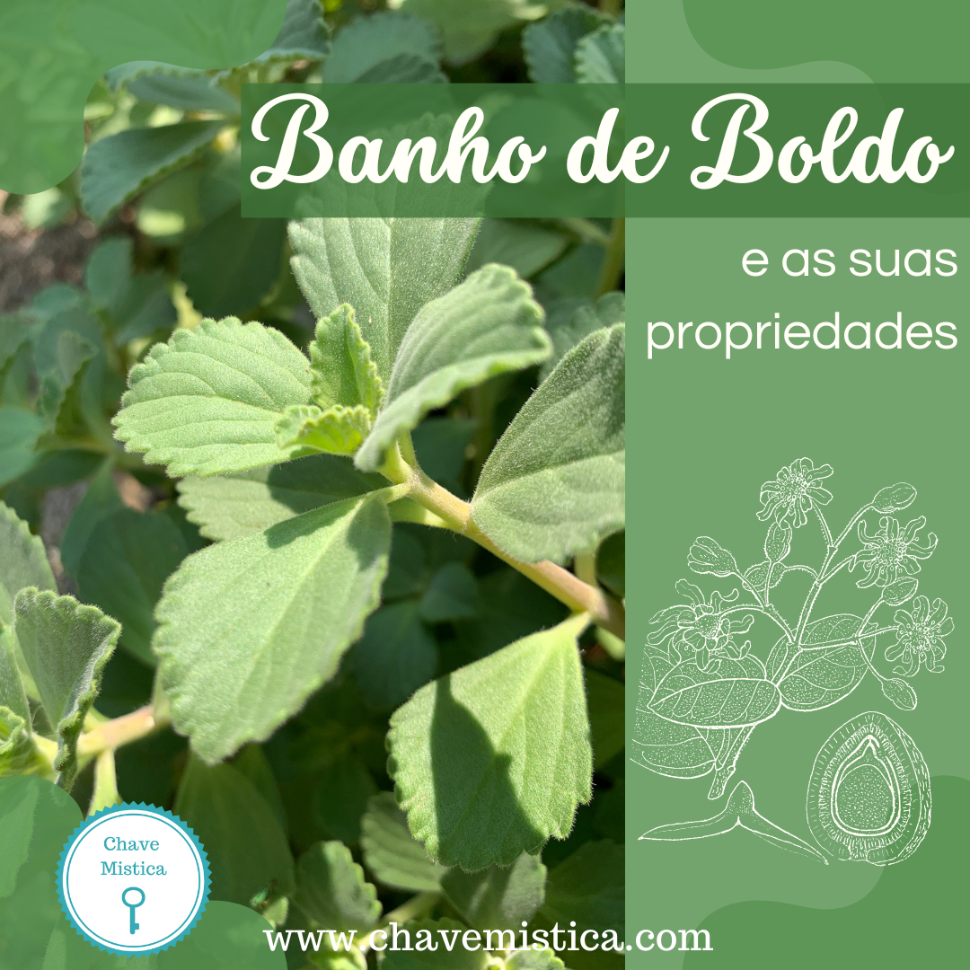 O banho de boldo é utilizado no mundo místico como uma ótima forma de fazer limpeza espiritual e descarrego, no entanto, a maioria das pessoas deve conhecer o boldo apenas como uma planta medicinal, uma poderosa erva que serve para aliviar sintomas desagradáveis como enjoos, ansiedade e insônia. O nosso consultor Ariel, explica todas as propriedades desta erva mágica aqui 👉 https://www.chavemistica.com/artigos/ A Equipa Chave Mística www.chavemistica.com