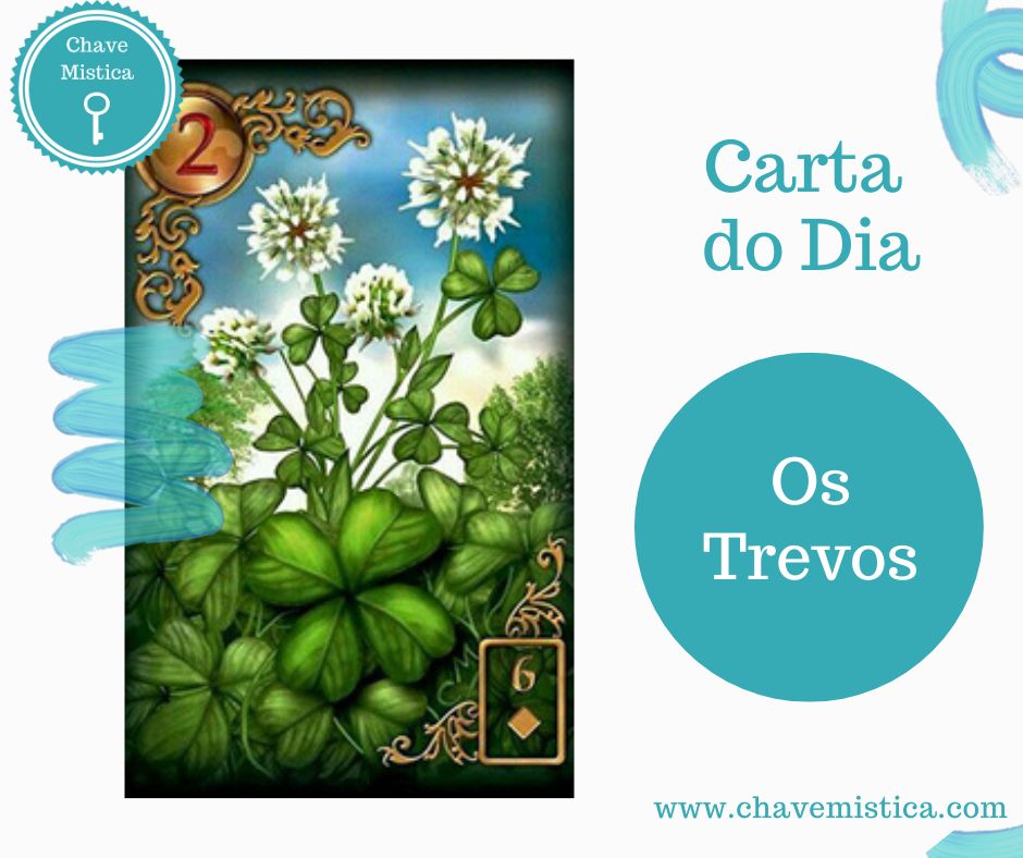 Carta Tarot para 23-12-2023 Os Trevos Está numa fase de sorte. Arrisque e invista em tudo o que sempre desejou. Taróloga Camila www.chavemistica.com